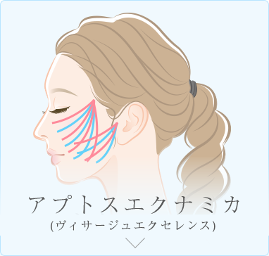 シルエットソフト