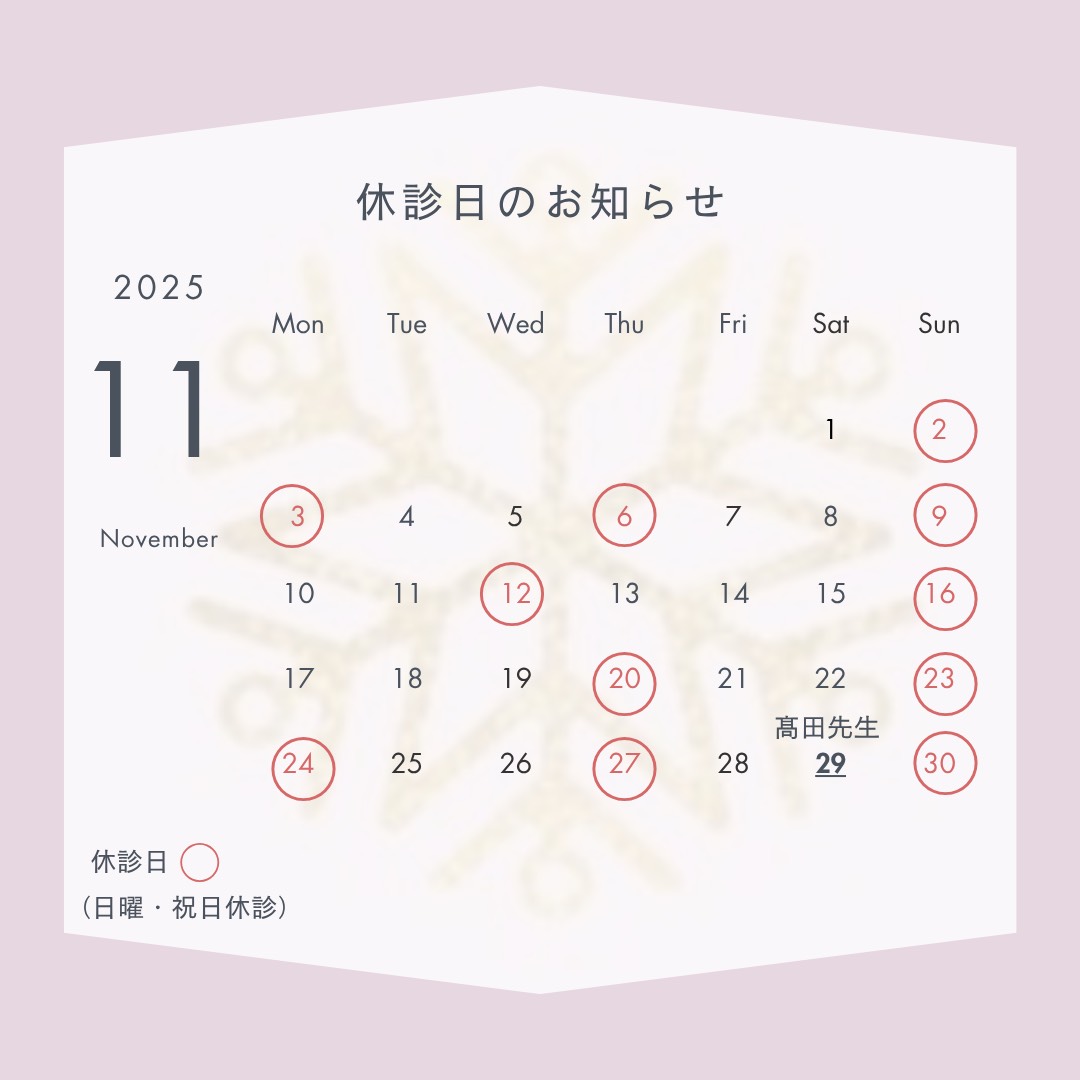 2025年11月