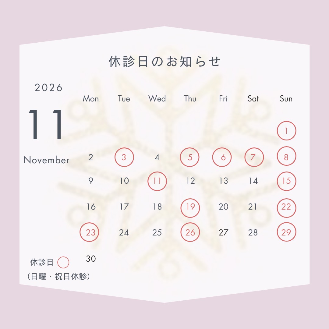 2026年11月